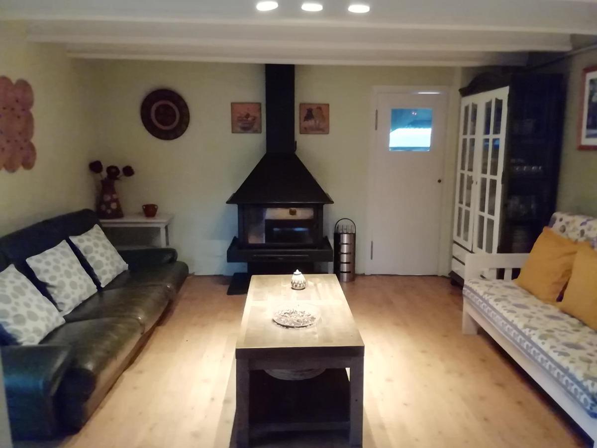 Casa Carlota Guest House Cabo ภายนอก รูปภาพ